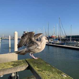 明日死ぬかのように生きよ 永遠に生きるかのように学べ 籠球と食と酒 Note