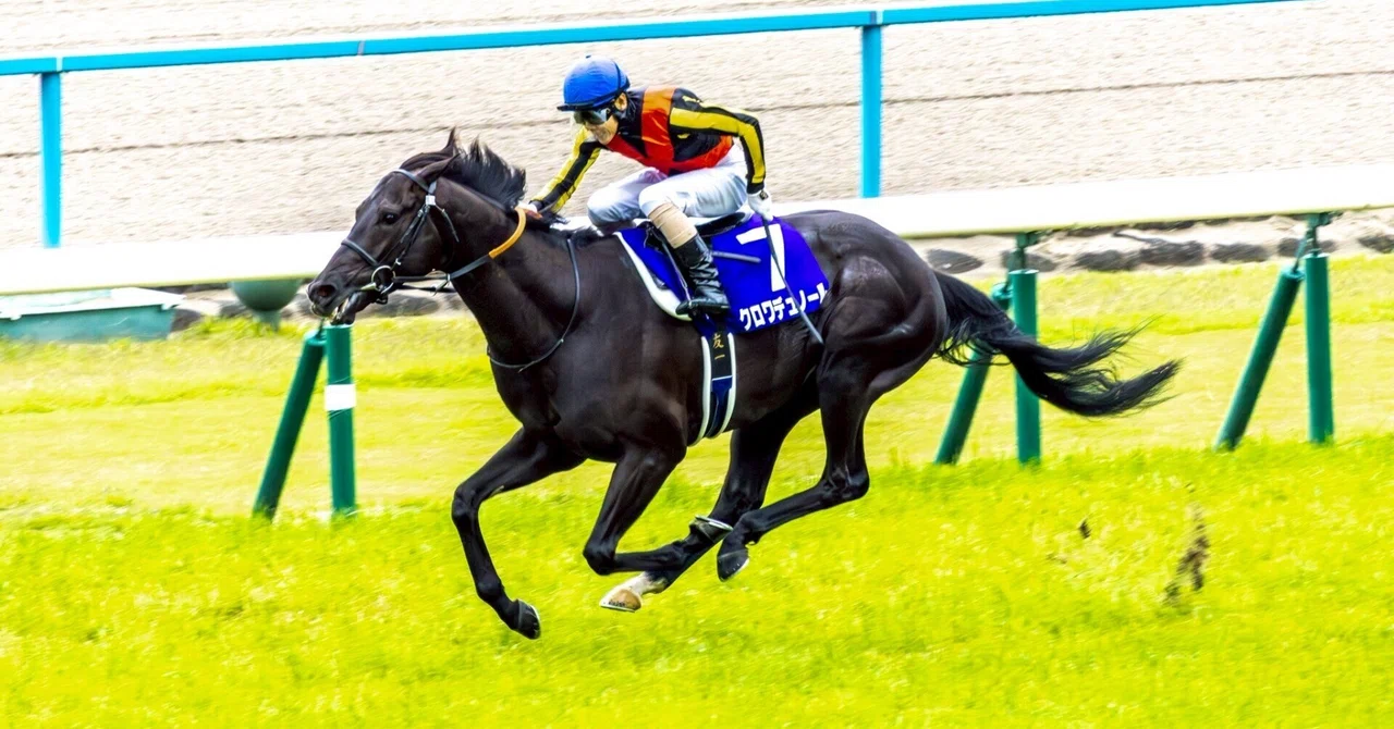 競馬写真集⑦（2026年5月2-3日）｜ななしの緑