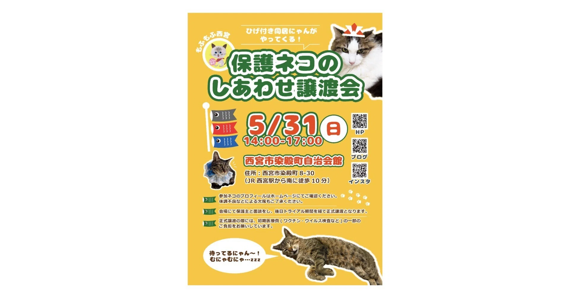 保護猫譲渡会 チラシ｜ポートフォリオ｜Takara￤イラストレーター