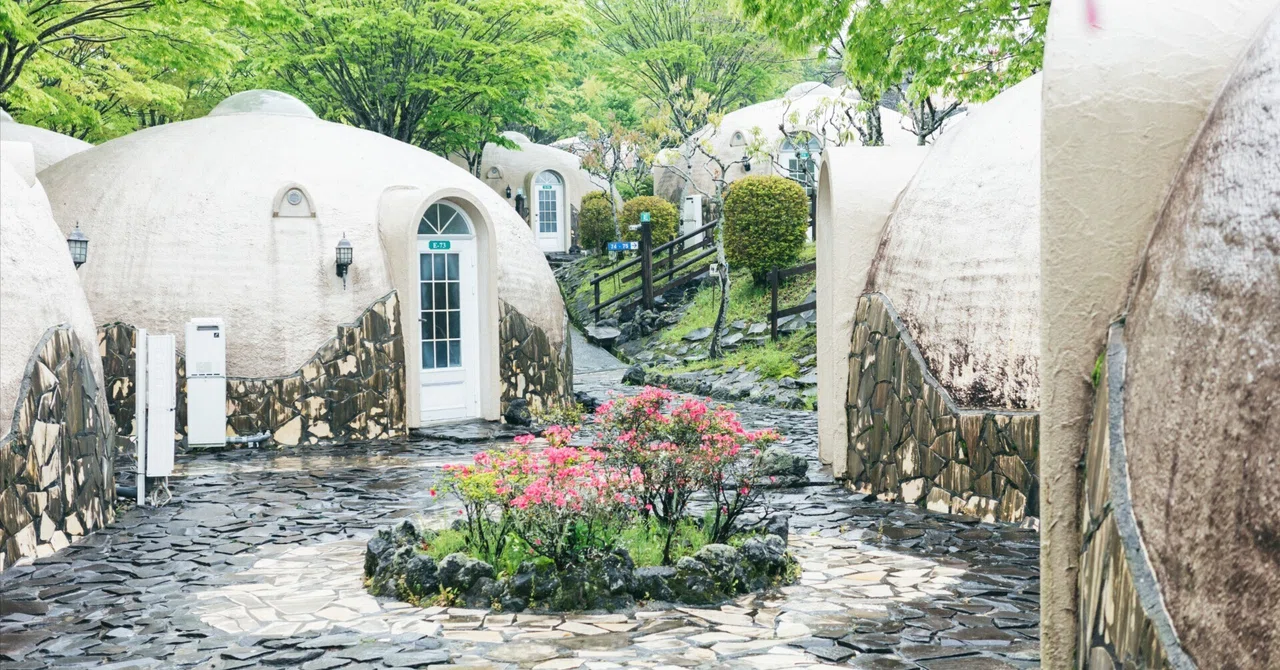 熊本旅行記｜推しのビーバーに会いに行く（前編）｜こばやし