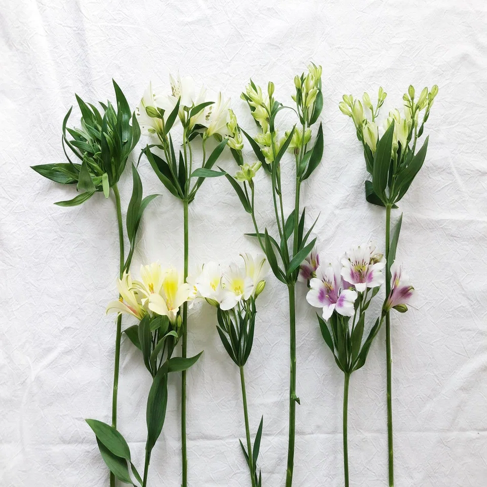 生花アレンジメント ユーカリポポラスアルストロメリア今日の庭のお花