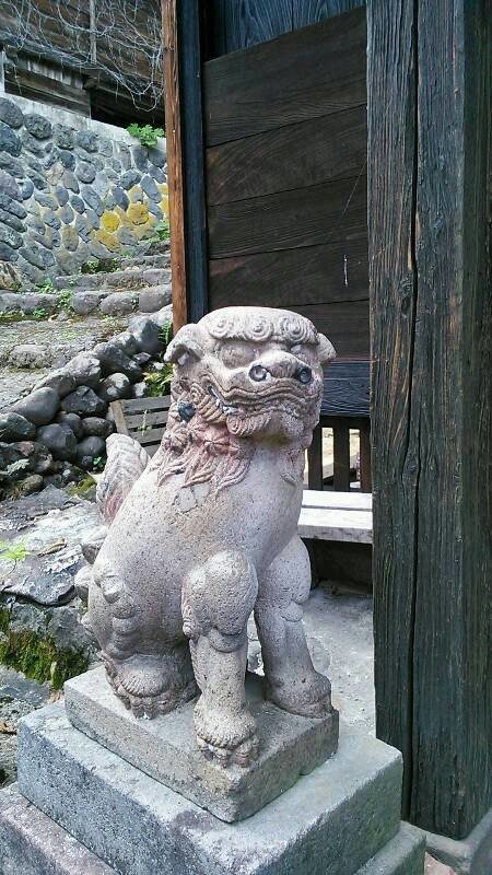 栃尾にある神社の狛犬。
足がプニッとしています。