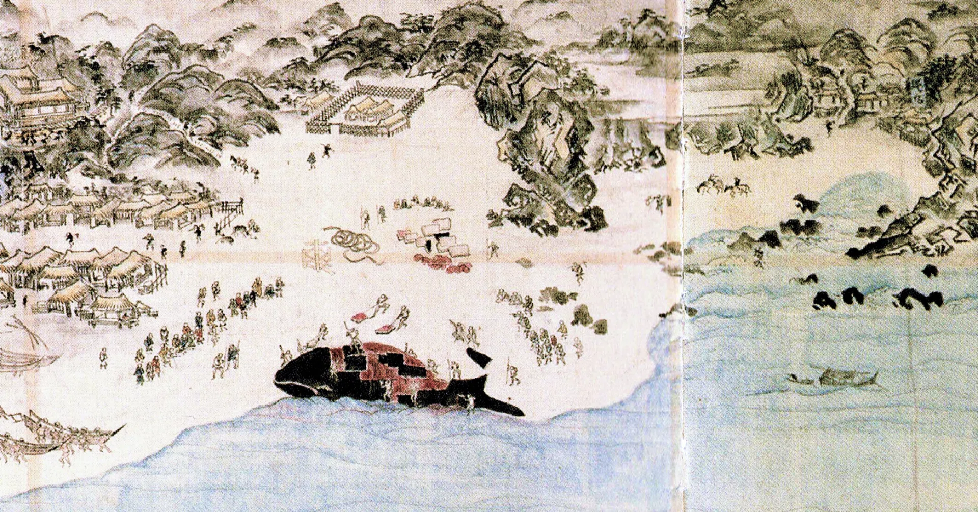 第10回 クジラ～沖を行くものの世界｜江尻浩二郎