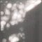 髙橋白雨