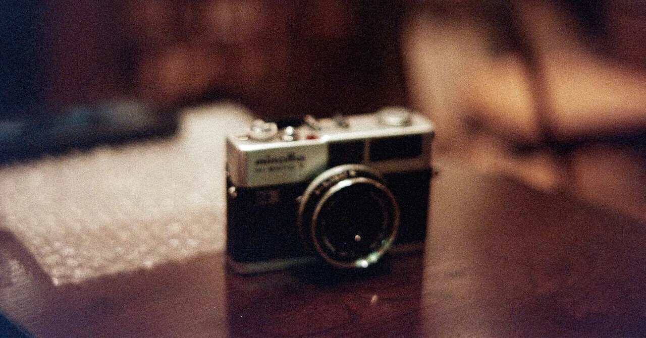 3月に撮ったフィルムの振り返り①｜pokito TK