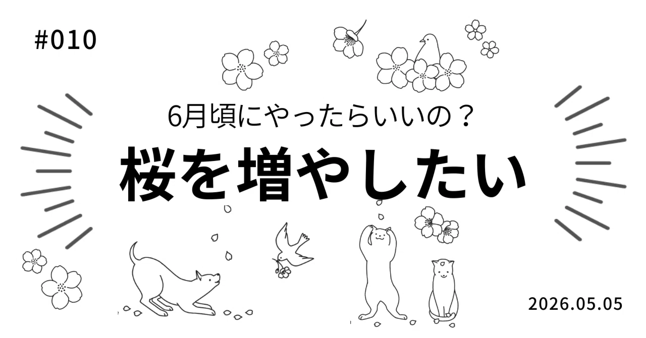 ウチの桜がかわいい｜omoオモomo