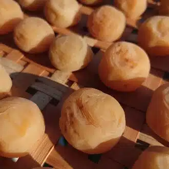 こめこ