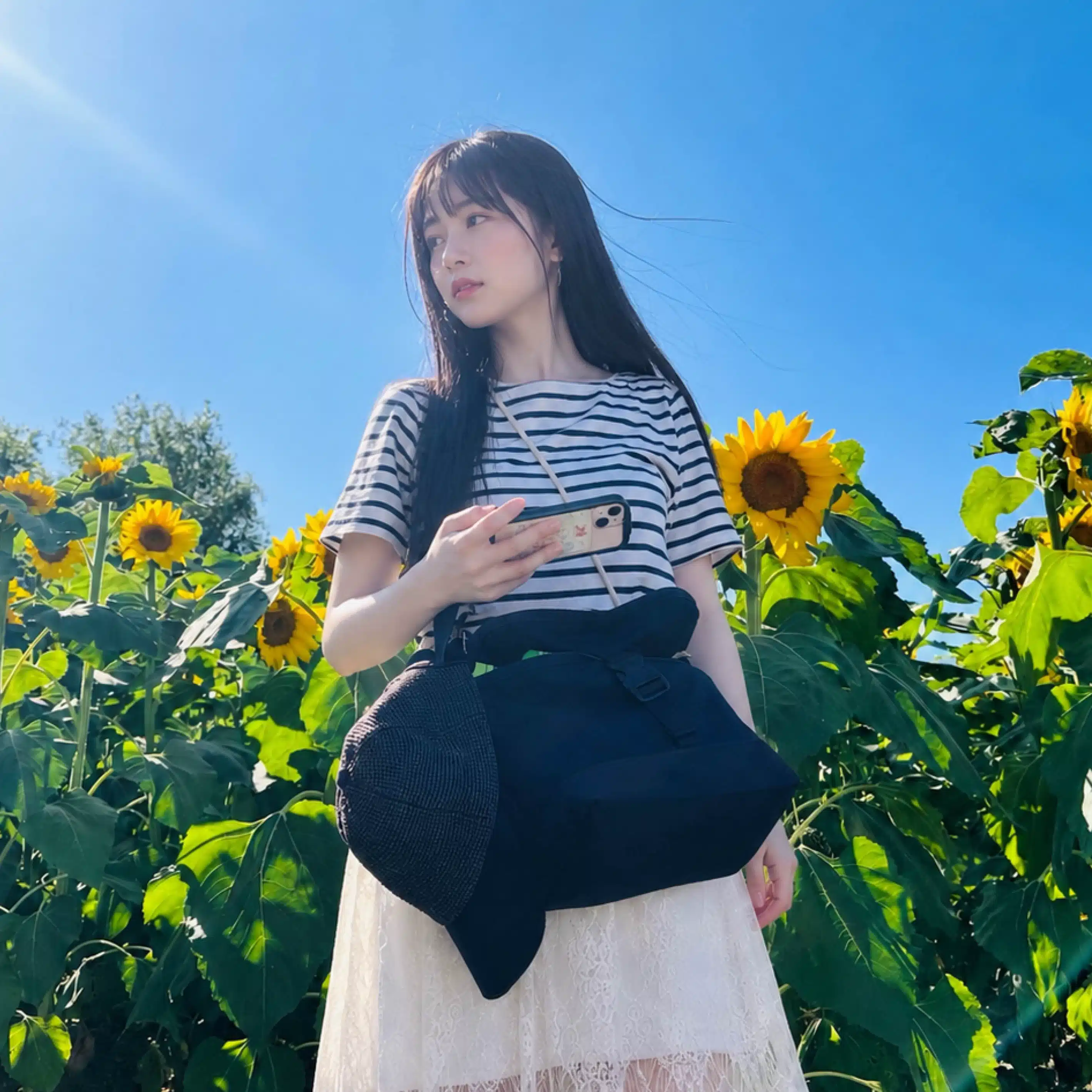 葵-Aoi