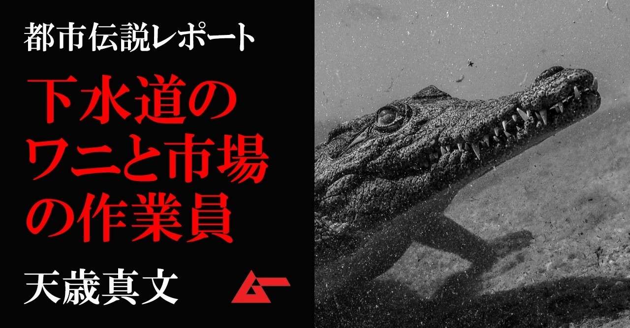 卸市場の地下に潜む怪物は実在する 下水路の 巨大人喰いワニ 都市伝説 天歳真文 ムーplus