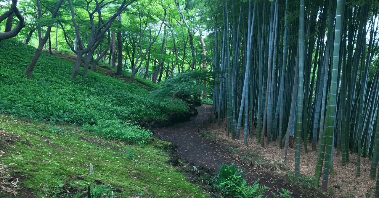 実は梅雨時が一番美しい 殿ヶ谷戸庭園が再開しました はけ と野川のお散歩セラピー Note