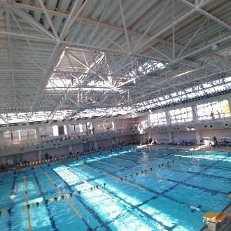 運動で痩せる方法 水泳 自転車 ランニング 筋トレ比較 八田益之 Note 運動で痩せる方法 水泳 自転車 ランニング 筋トレ比較 八田益之 Note