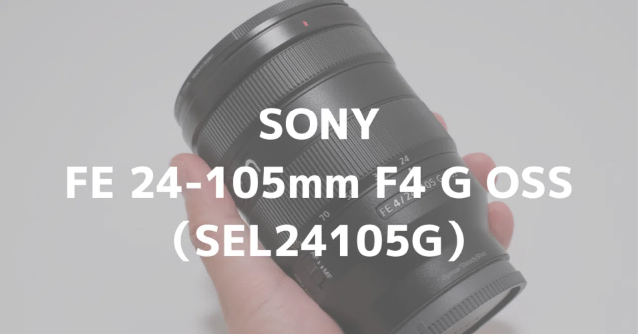 ソニー FE 24-105mm F4 G OSS(SEL24105G)購入レビュー！1本で万能の