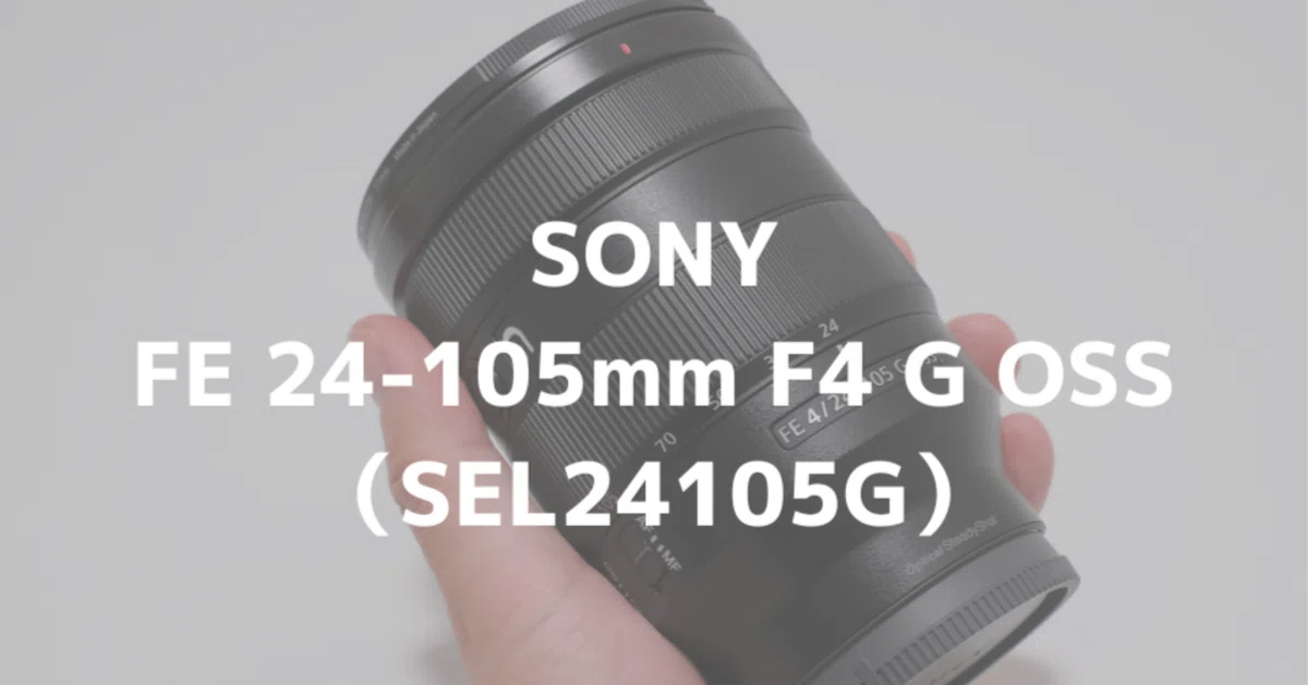 ソニー FE 24-105mm F4 G OSS(SEL24105G)購入レビュー！1本で万能の