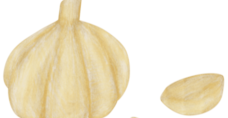 にんにくの力 Kyoko アーユルヴェーダとヨガと瞑想でシンプルに軽やかに自分を生きる Note