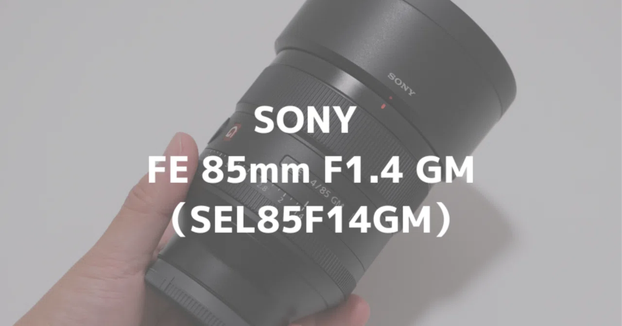 Sony FE 85mm F1.4 GM (SEL85F14GM) Review! A Portrait Lens