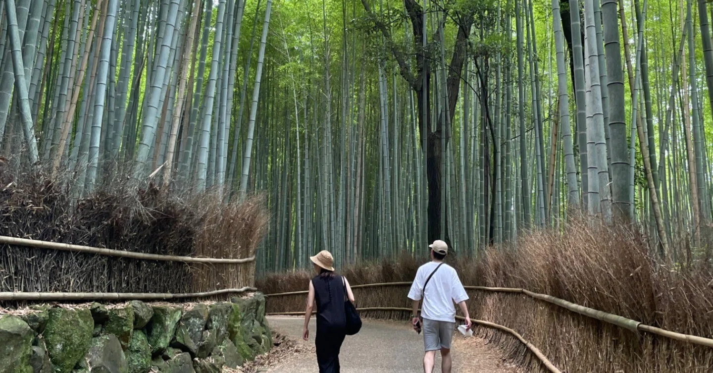 京都の絶景が消える？「10年後」に笑えなくなる放置竹林のリアル