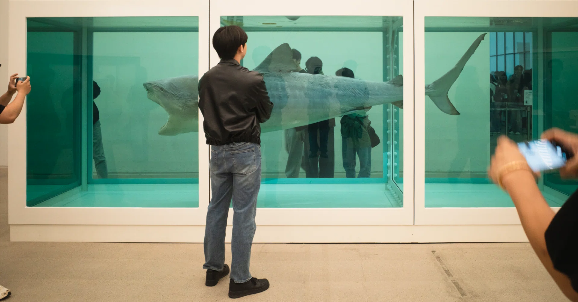 韓国・国立現代美術館のダミアン・ハースト展 チケットの買い方は実は