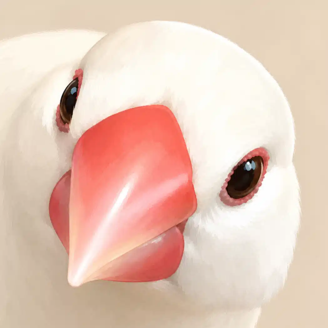 岡本T