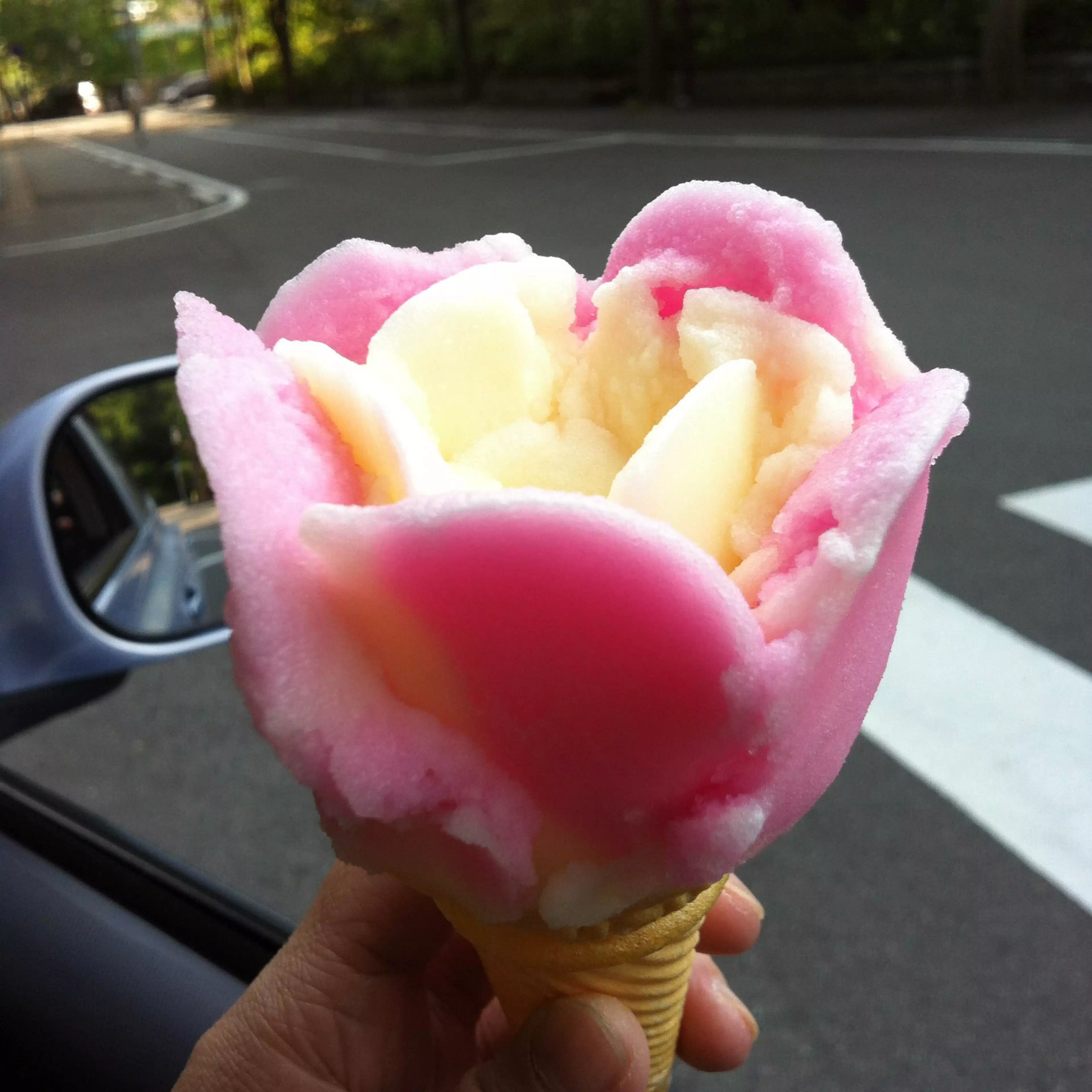 品川さゆ〜北海道を考える〜