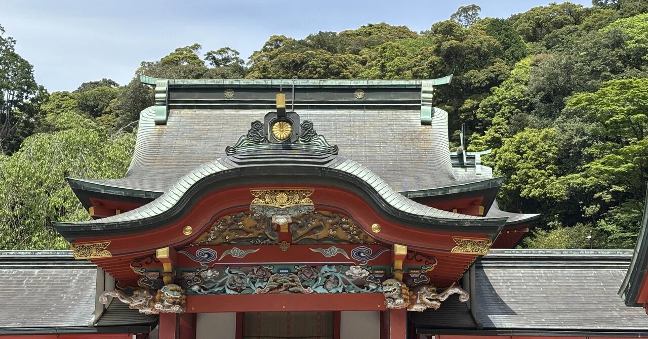 霧島神宮へ行ってきた。不思議な形の大木がたくさんあった｜あだち