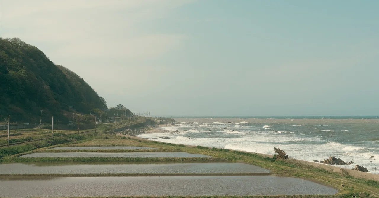 波立つ海と平らかな水田|keisodo