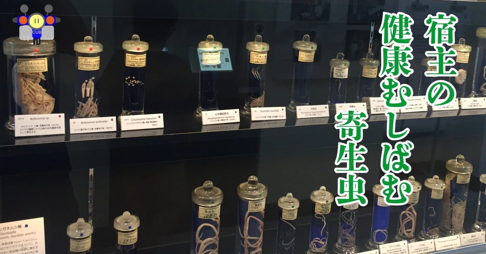 すごい博物館170】目黒寄生虫博物館：動物や人間の体内から採取した