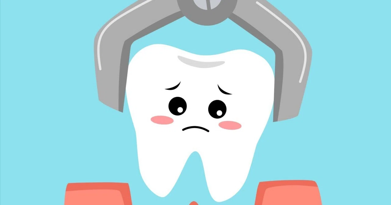 I wonder which one this is; I had a tooth extracted 🦷｜romyromy55🐰inBKK