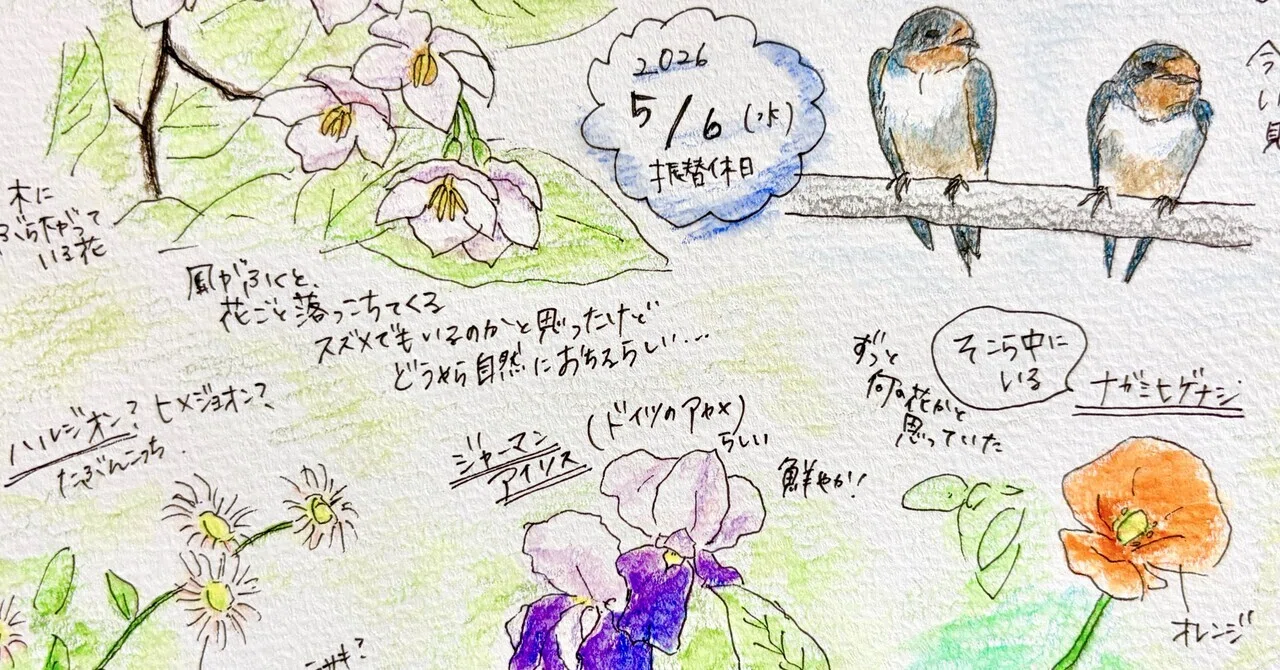 見出し画像