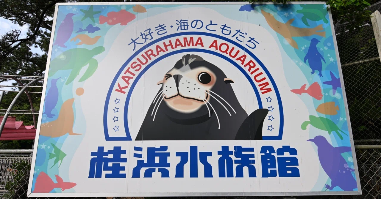 20260506_桂浜水族館【Nikon Z50IIと水族館】｜山ネズミ