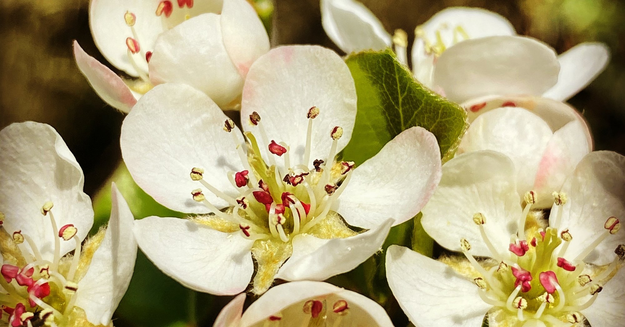 ココ シャネルは本当に 香水をつけない女性に未来はない と言ったか Yuta Watanabe Note ココ シャネルは本当に 香水をつけない女性に未来はない と言ったか Yuta Watanabe Note