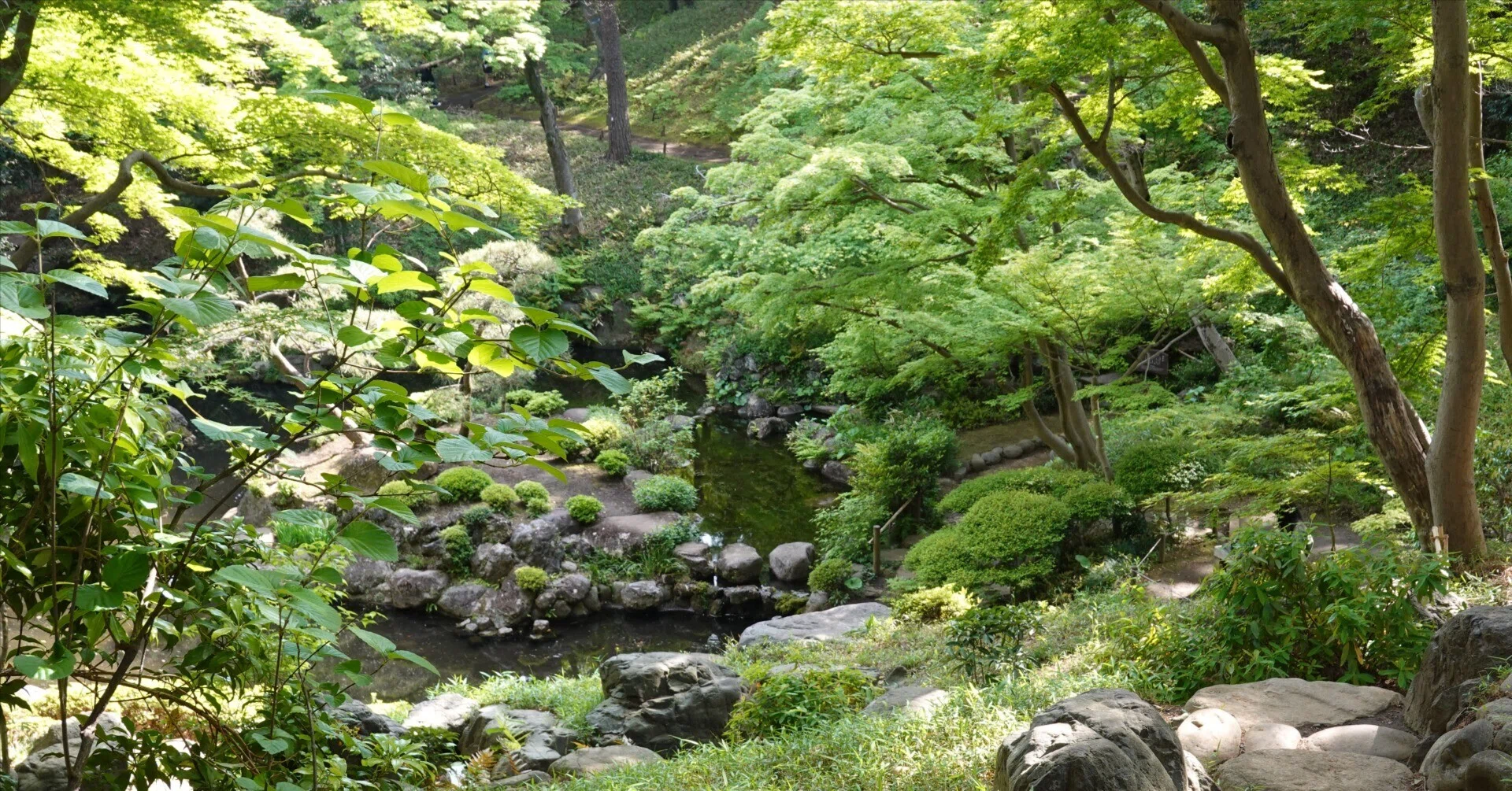 お散歩日記｜殿ヶ谷戸庭園の新緑｜myu