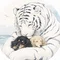 ふりーたむ