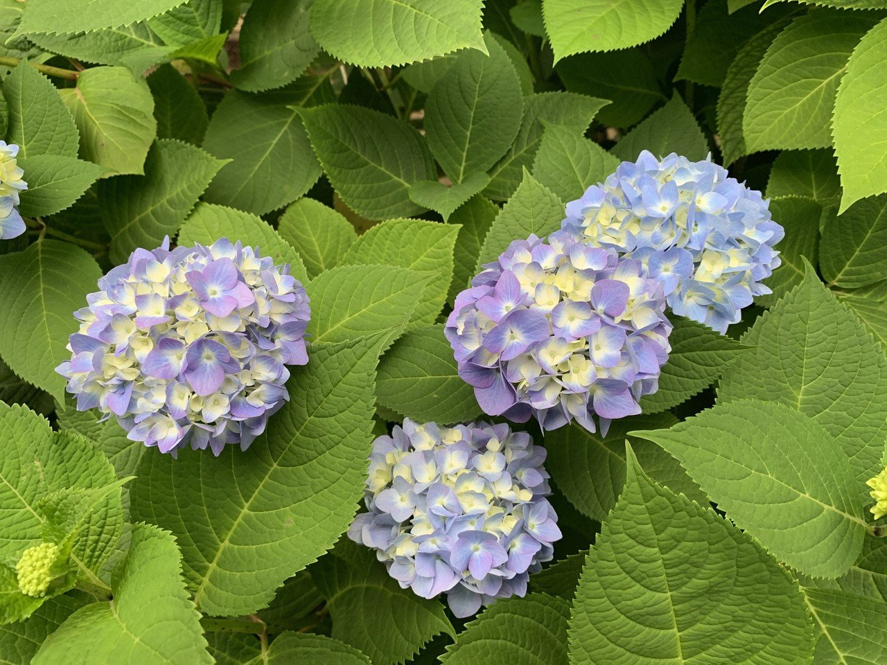 年齢は増えることはあっても 減ることはない Asukaoka Note 年齢は増えることはあっても 減ることはない Asukaoka Note