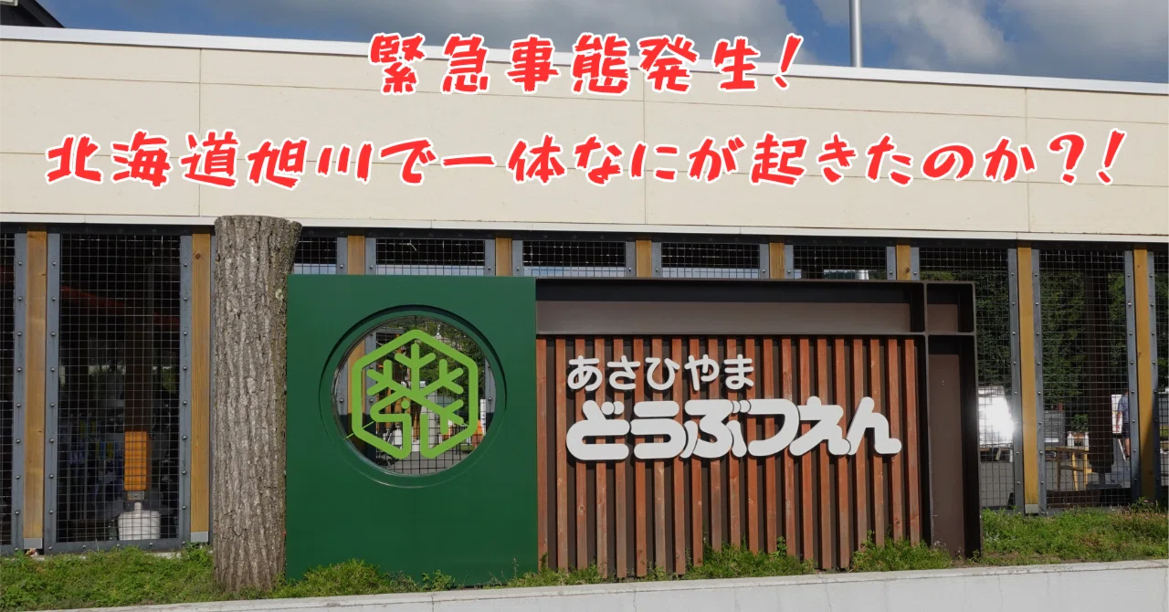 北海道・旭川】緊急事態発生！北海道旭川で一体なにが起きたのか