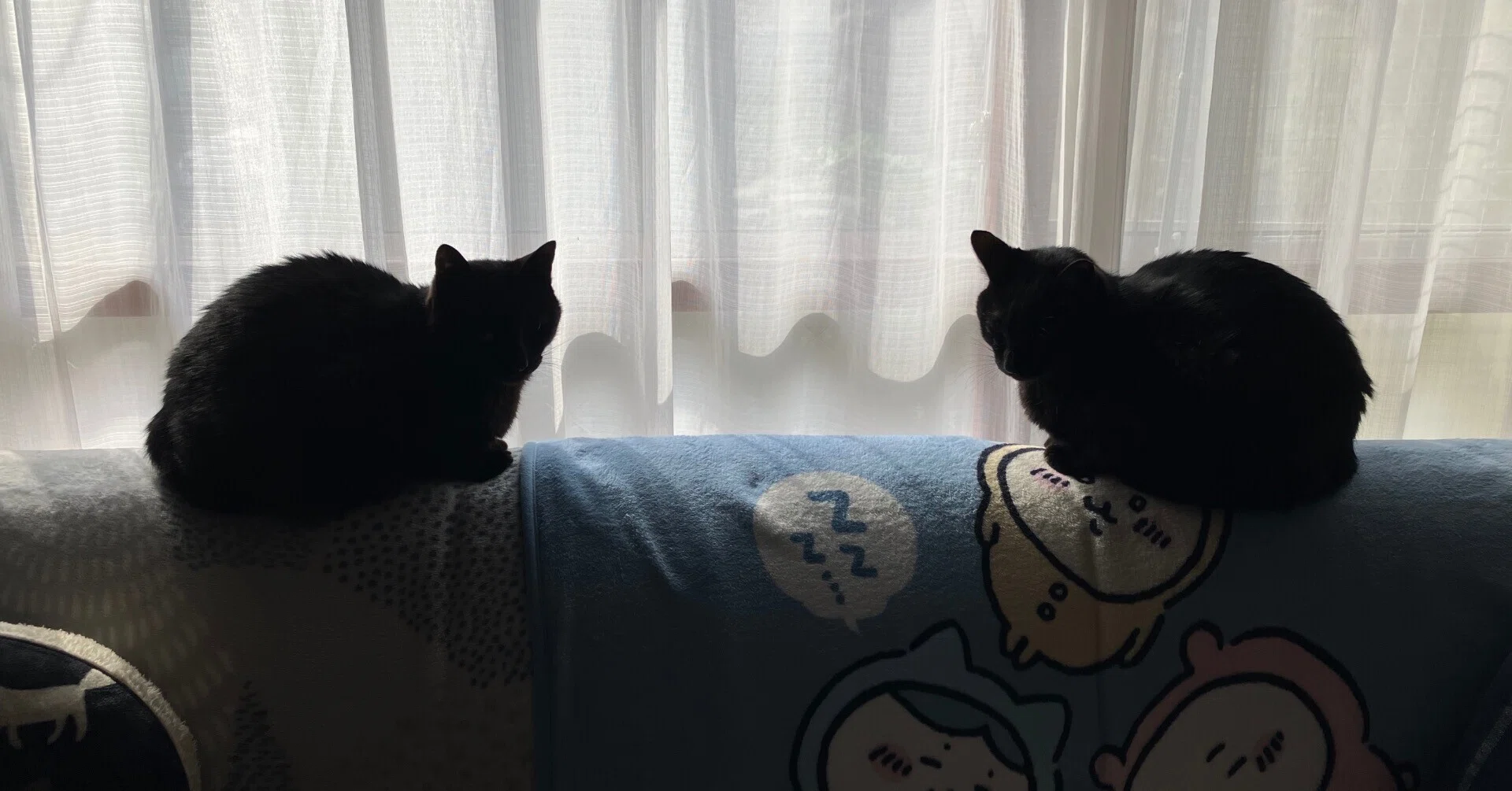 黒猫兄弟｜みんまる