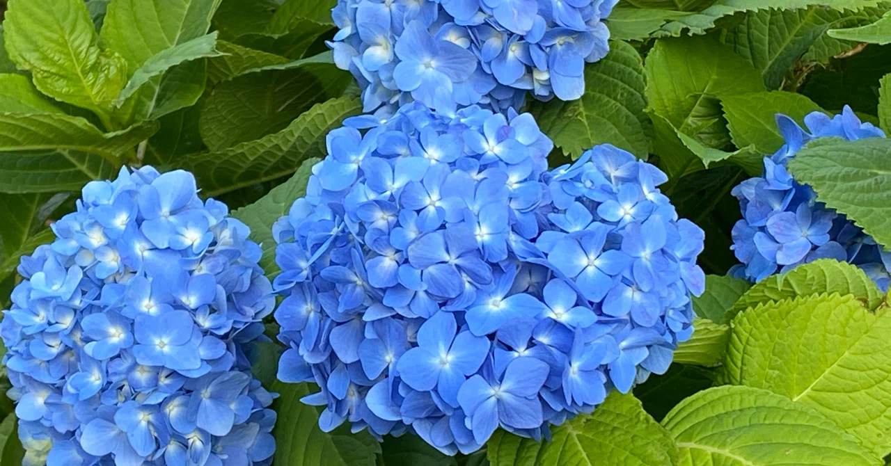 ちょと不真面目に｜Indriel.m｜note