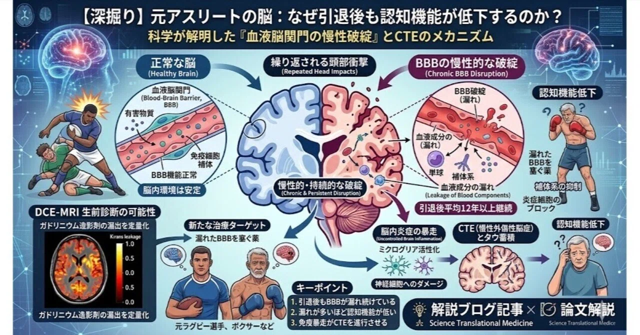 頭部外傷および慢性外傷性脳症（chronic traumatic encephalopathy