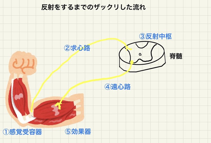 子どもの行動を３種類に分けてみよう Makoto Note