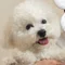 やさしいきろく