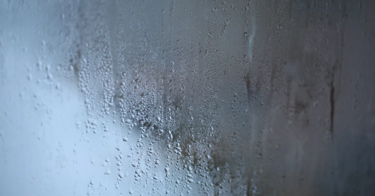 The Definitive Guide to Humidity Control Taught by Professionals｜ユウラボ
