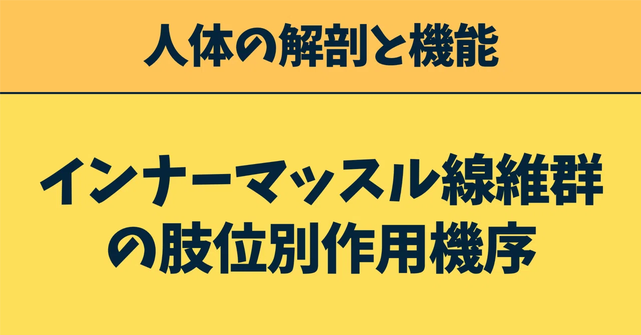[5/16] Mechanism of Action of Inner Muscle Fiber Groups by Limb ...