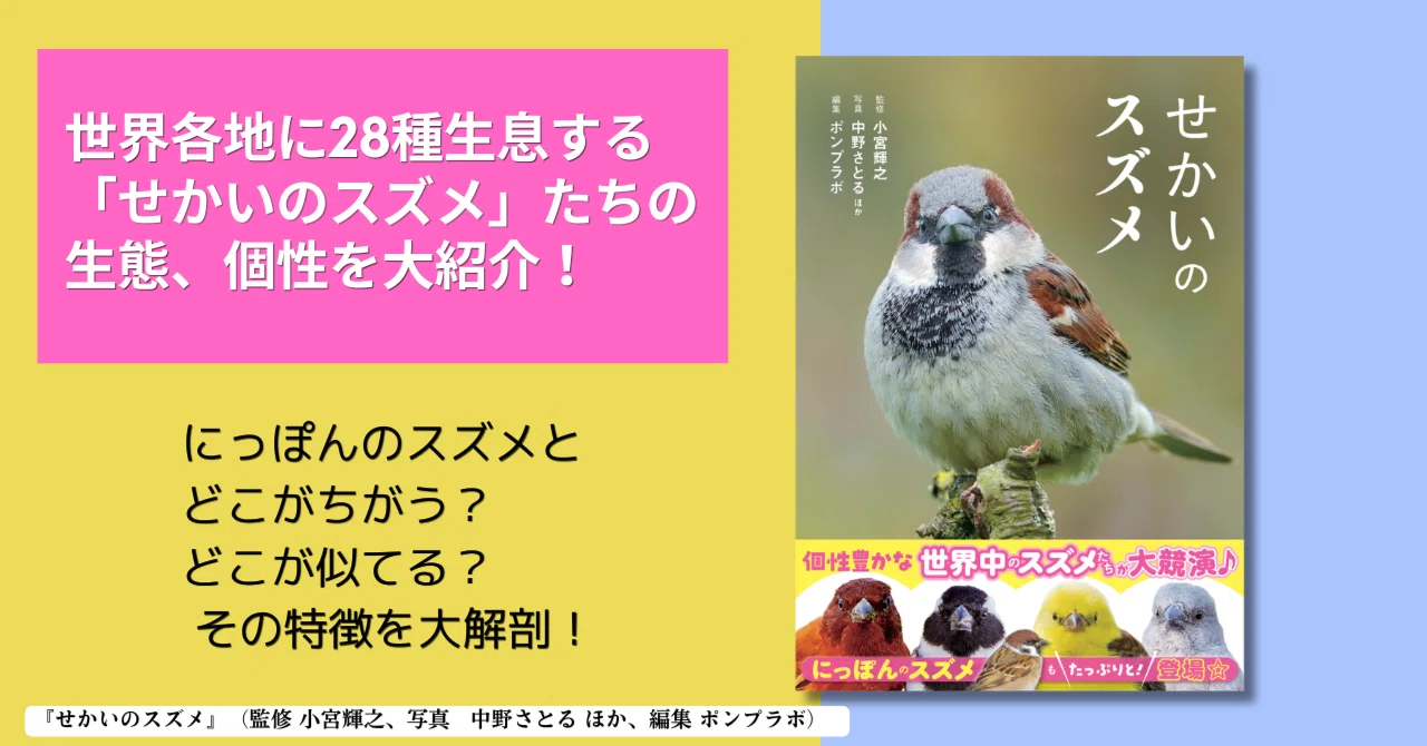 世界中で愛される28種のスズメ。その表情、しぐさ、個性を大紹介！『せ