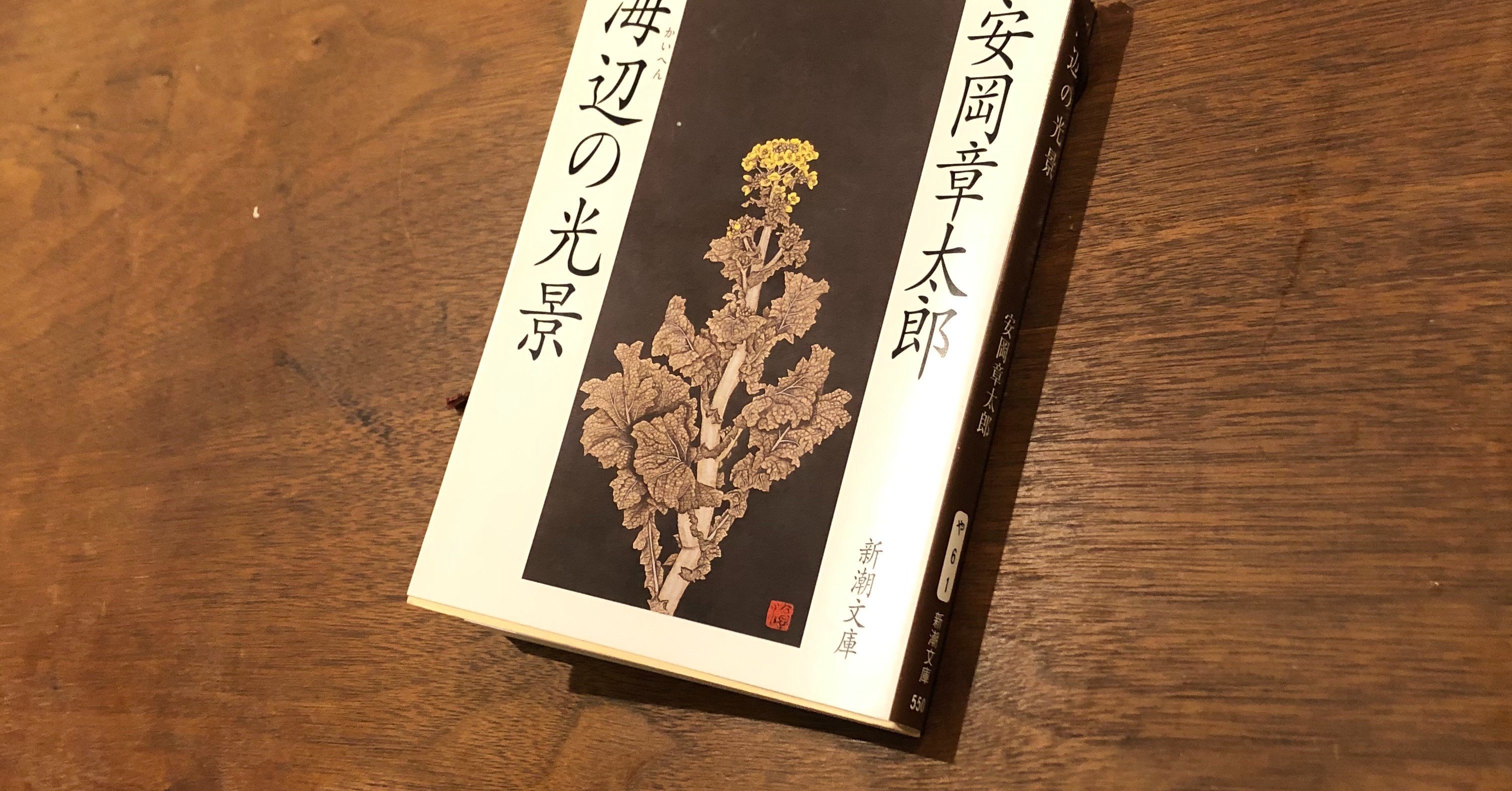 読書感想文 海辺の光景 いわはらいずみ Note 読書感想文 海辺の光景 いわはらいずみ Note