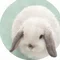 さがみの 瑞歩