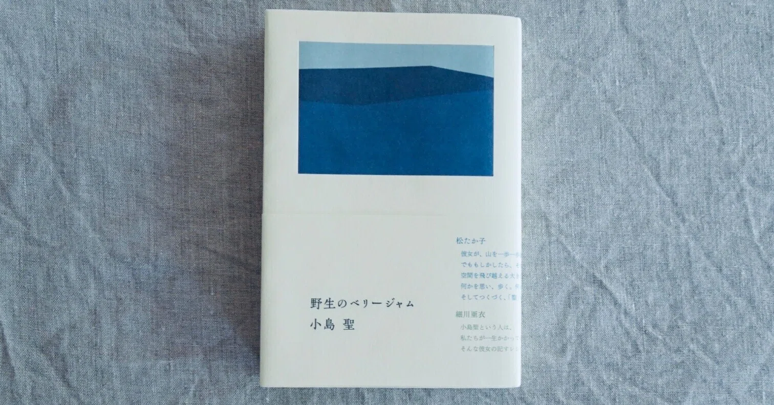 野生のベリージャム | 小島 聖/大好きな装丁/蔵書No.0011｜HOZON NO 