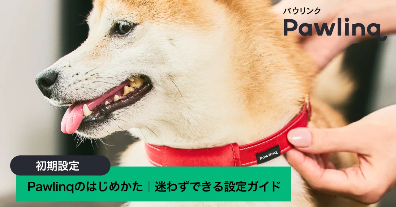 Pawlinqのはじめかた🐾 迷わずできる簡単初期設定ガイド｜RABO, Inc.