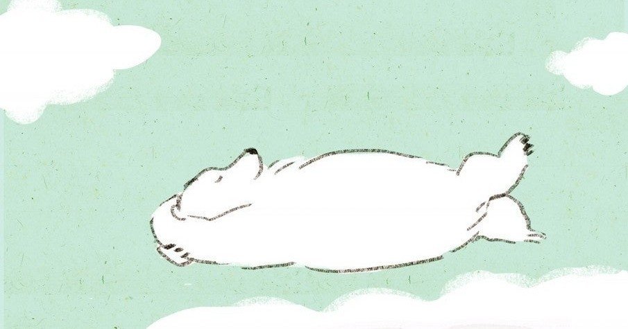 ついに出産予定日 健診に行ってきました Moe Utsunomiya Note