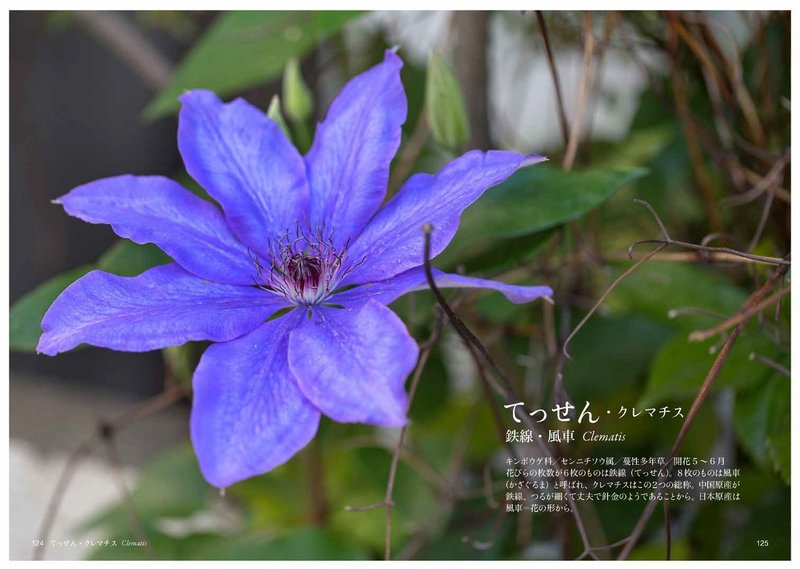 て の花 Taku Note