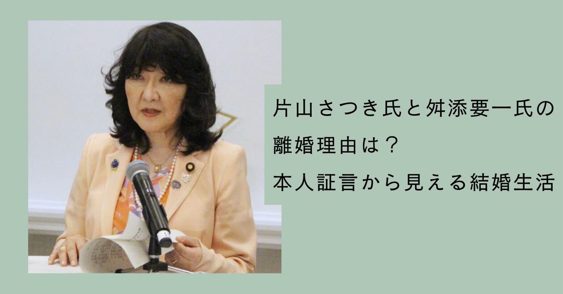 活動歴および当時の関連ビジュアル記録