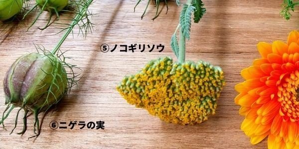 自分でドライフラワーを作るときの注意点とおすすめの花 ちゃっぴい Note